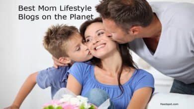 Lifestyle Mom Blogs