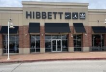 hibbett sports tampa